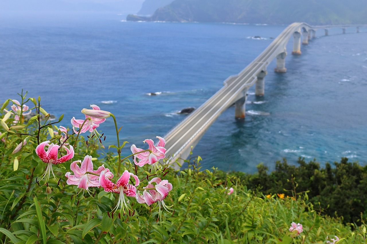鳥ノ巣山展望所