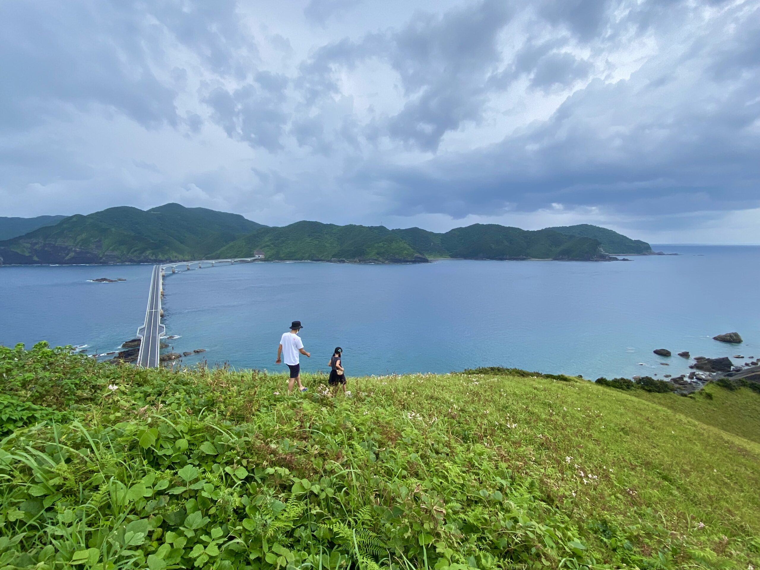 鳥の巣山展望所