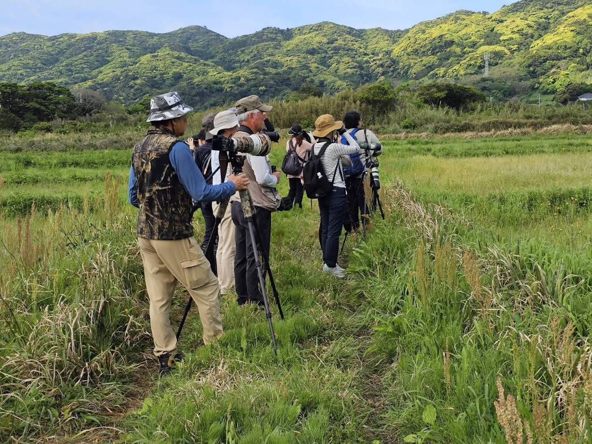 ガイド付き野鳥散策