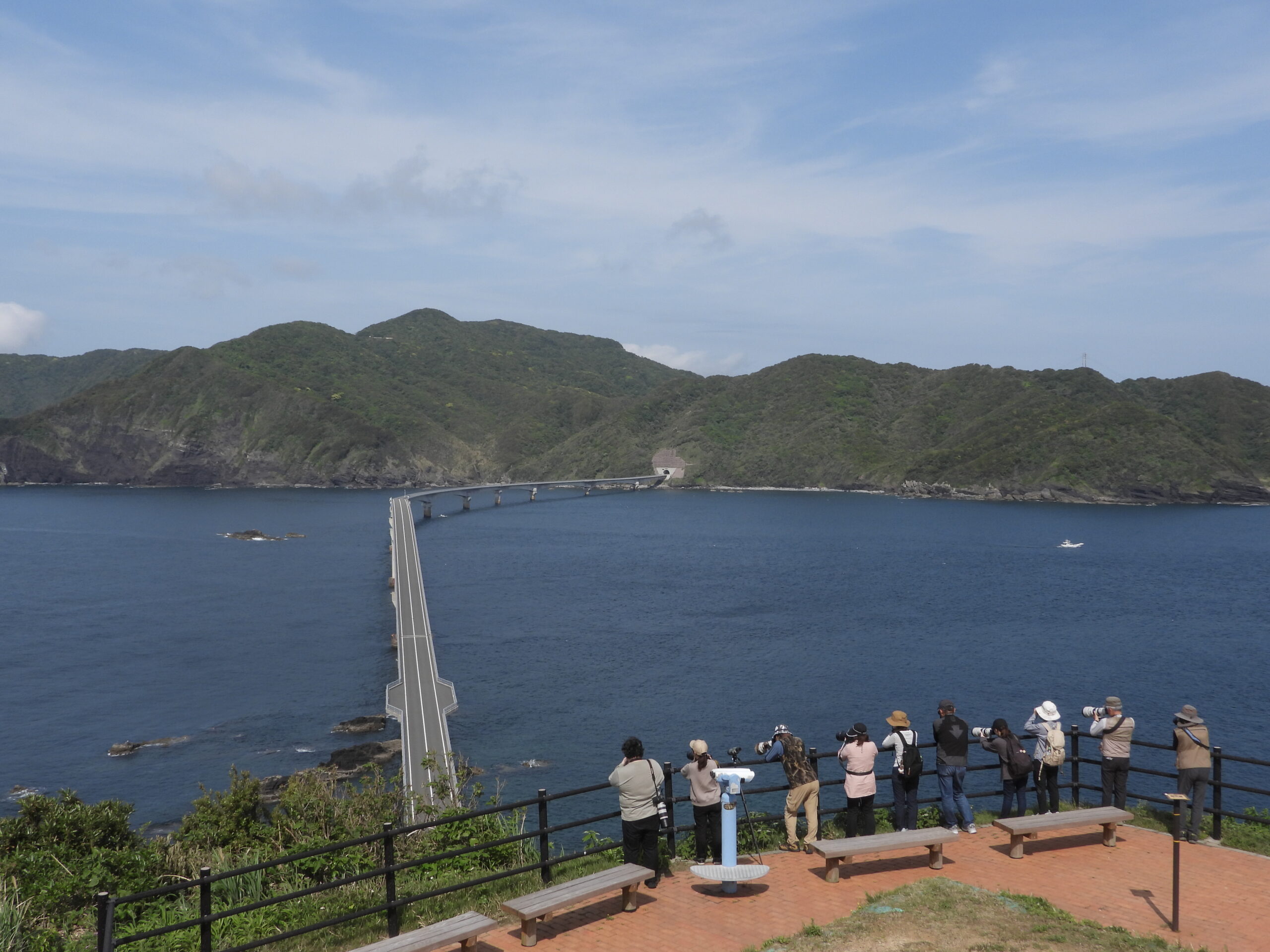 鳥ノ巣山展望所(ウミネコ観察)・甑大橋