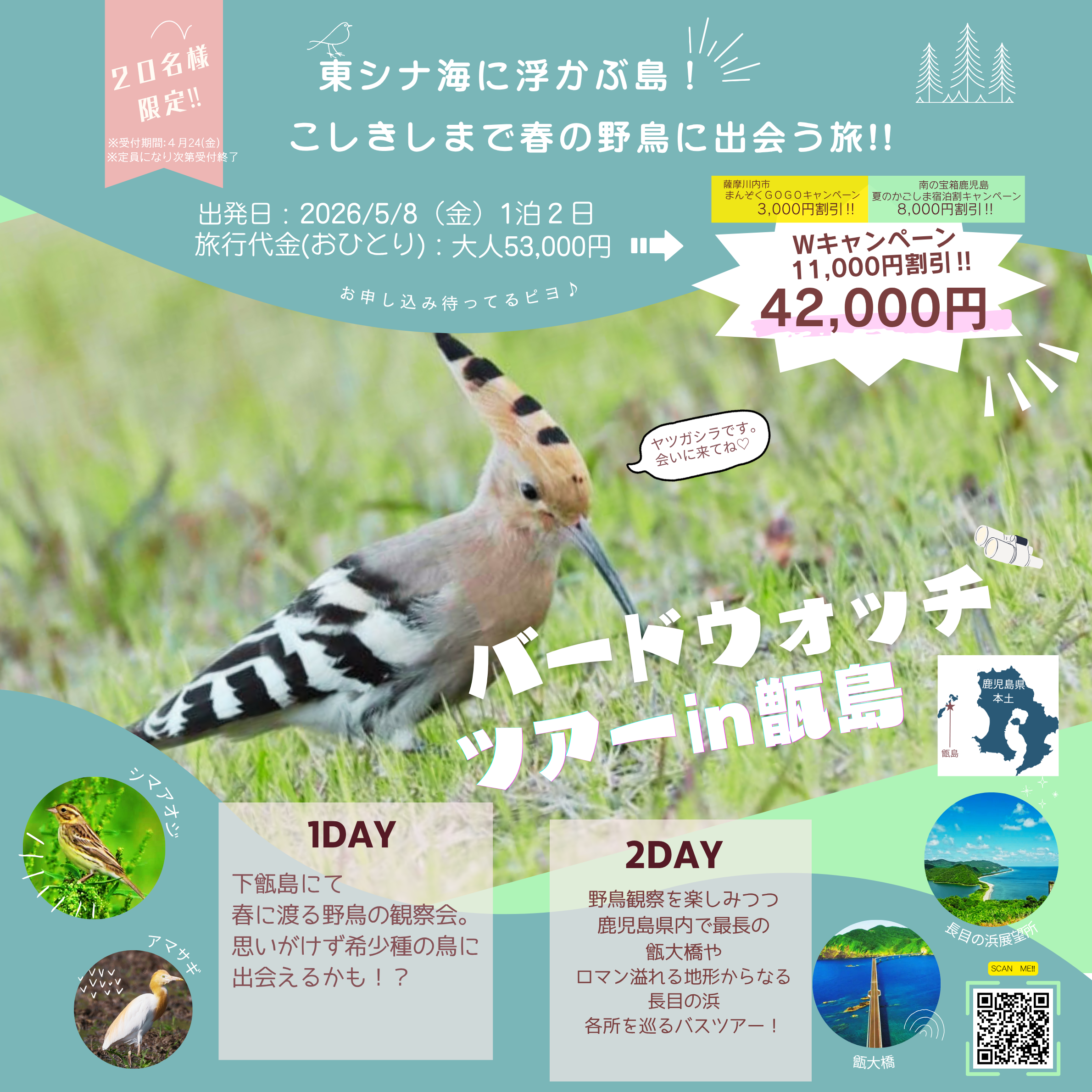 東シナ海に浮かぶ島！こしきしまで春の野鳥に出会う旅！！～2026～