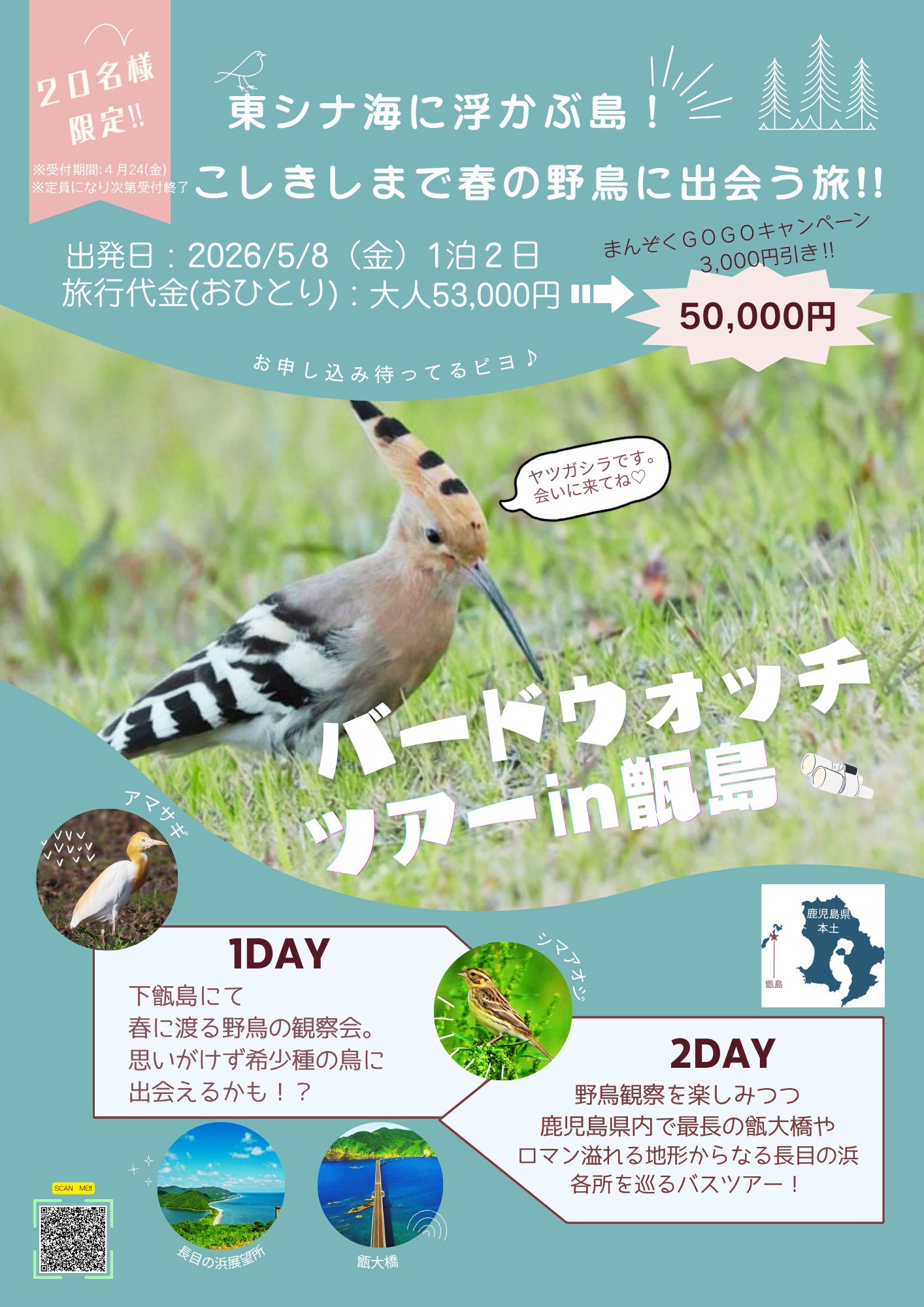 東シナ海に浮かぶ島！こしきしまで春の野鳥に出会う旅！！～2026～